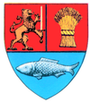 Coat of Arms of Dolj county