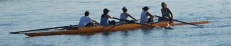 Fil:Toronto female rowing team.jpg