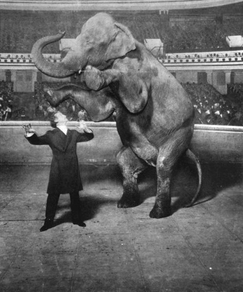 Fil:Houdini-Elephant.jpg