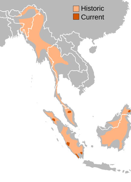 Fil:Sumatran Rhino range.svg