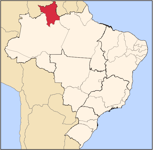 Fil:Brazil State Roraima.svg