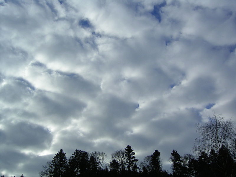 Fil:Large Stratocumulus.JPG