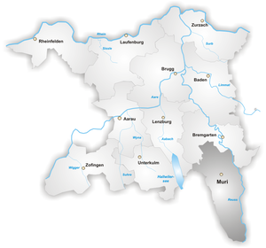 Karte Bezirk Muri.png