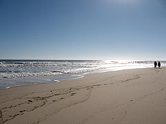 Newcomb Beach, Cape Cod.JPG