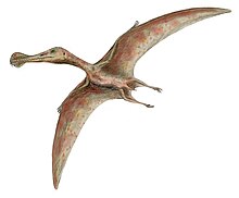Fil:Ornithocheirus BW.jpg