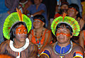 Idag firar Brasilien, världens till ytan femte största land, sin nationaldag: Ursprungsinvånare från Amazonasområdet med traditionell, färgsprakande utsmyckning.