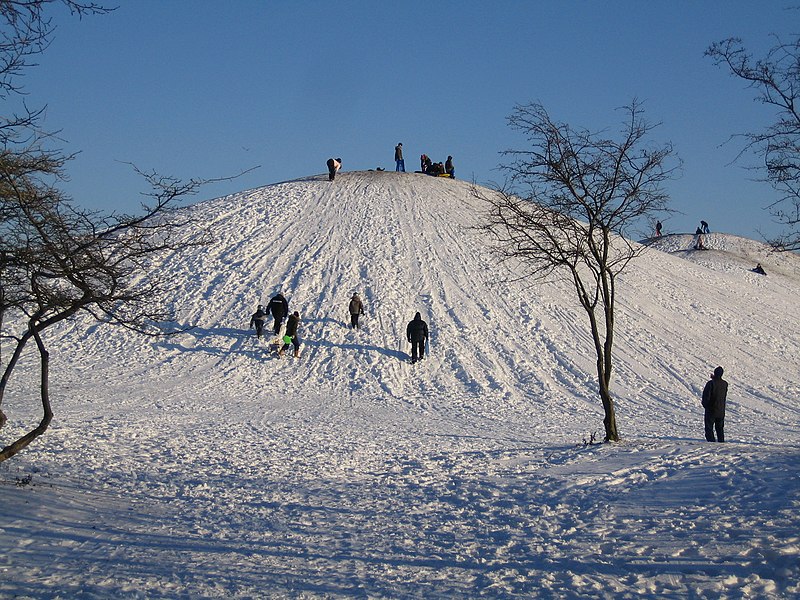 Fil:Kroksbäcksparken, vinter.jpg