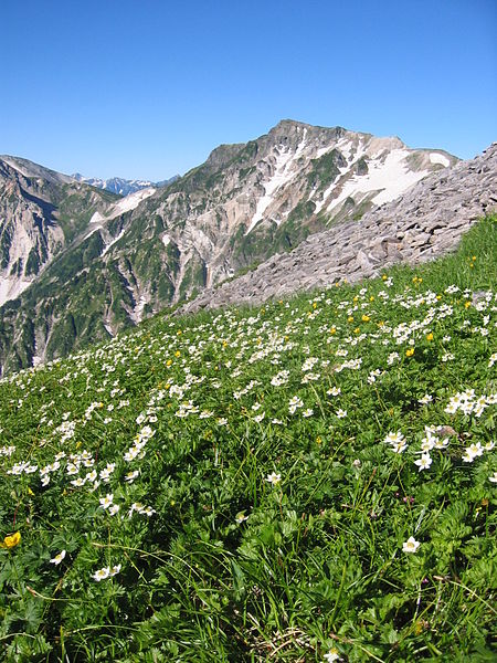 Fil:Hakuba-hakusanitige.JPG