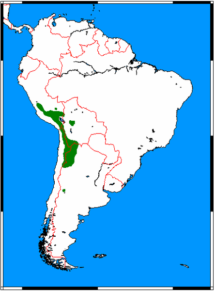 Fil:Leopardus jacobita range map.png
