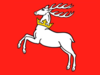 Lublins flagga