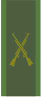 Fil:SWE-Army-infantry.svg