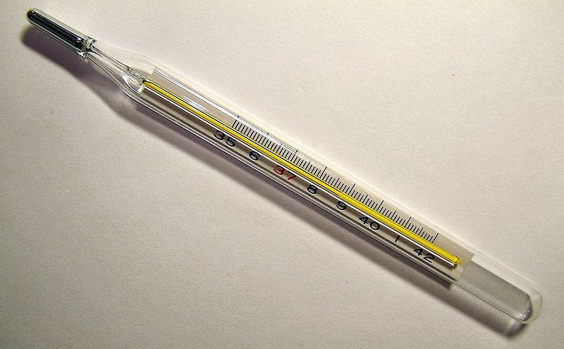 Fil:Clinical thermometer 38.7.JPG