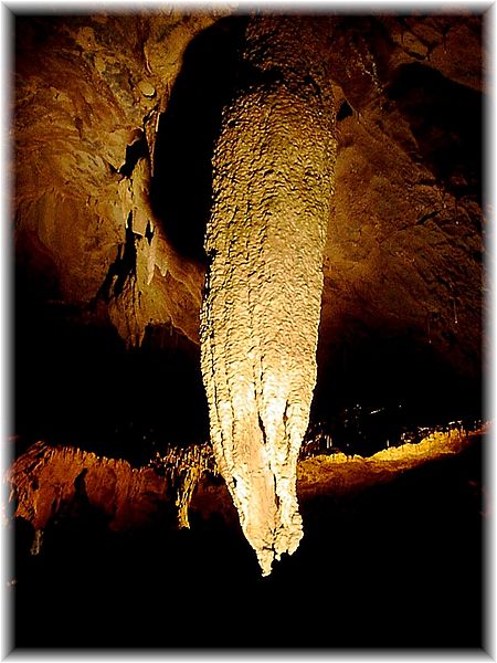 Fil:Crag Cave Irland.jpg