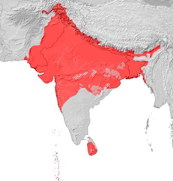 Fil:Indoarische Sprachen Verbreitung.png