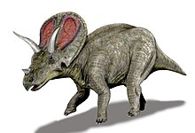 Torosaurus.