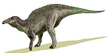 Illustration av Anatotitan