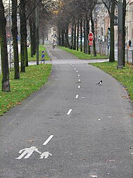 Bicycle or pedestrian lane at Jarntorget Gbg.jpg