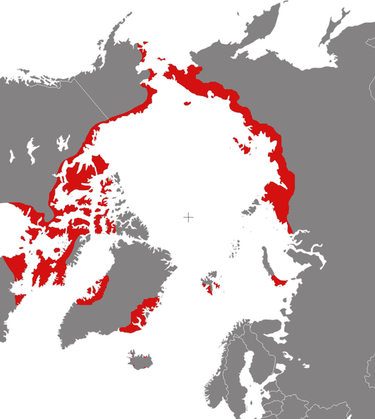 Fil:Phalaropus fulicarius distribution.png