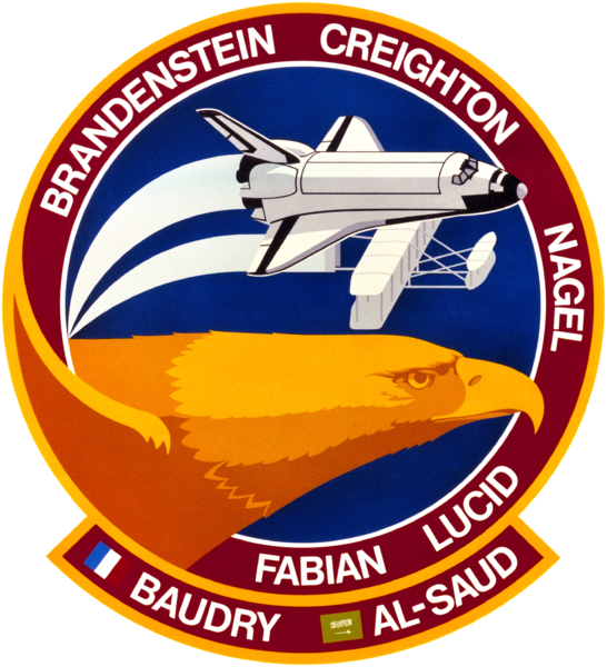 Fil:Sts-51-g-patch.png