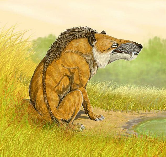 Fil:Andrewsarchus DB.jpg