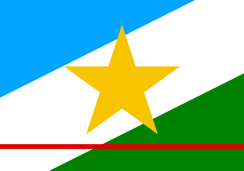 Fil:Bandeira de Roraima.svg
