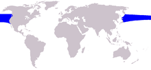 Utbredningsområde för nordlig rätvalsdelfin