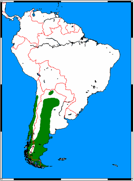 Fil:Pseudalopex griseus range map.png