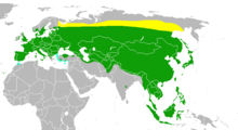 Utbredning i Afrika och Europa██ Häckande sommargäst  ██ Häckande stannfågel  ██ icke-häckande vintergäst 