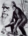 Darwin ape.jpg