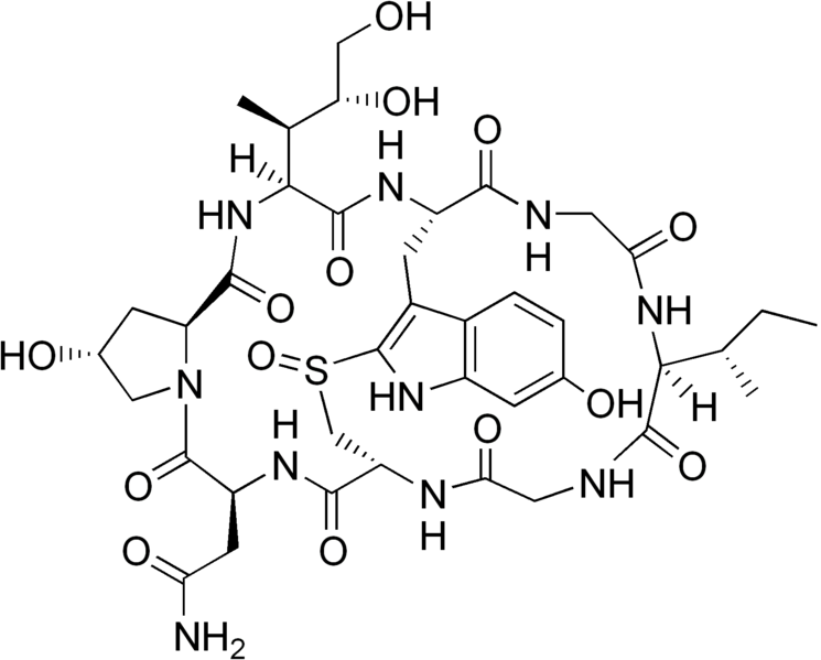 Fil:Alpha-amanitin structure.png