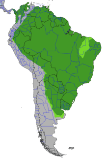 Utbredningsområde (grön)