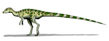 teckning som visar hur Leaellynasaura skulle ha sett ut.