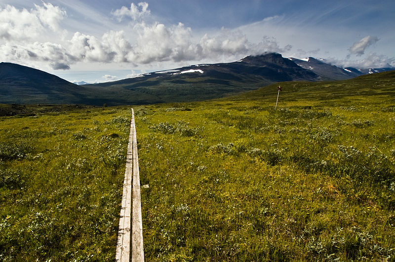 Fil:Kungsleden over Teusajaure.jpg