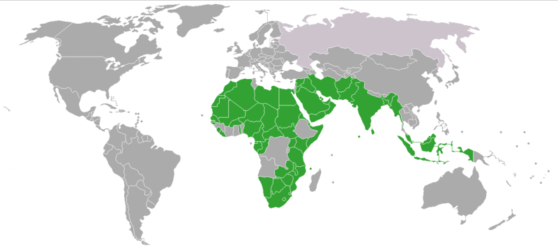 Fil:Polygamy world map.png