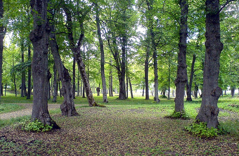 Fil:Rosersbergs slottspark.JPG