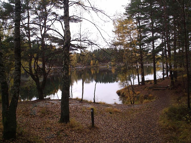 Fil:Bergsjön i Bergsjön, den 23 oktober 2005..JPG