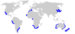 Carcharhinus brachyurus distmap.png