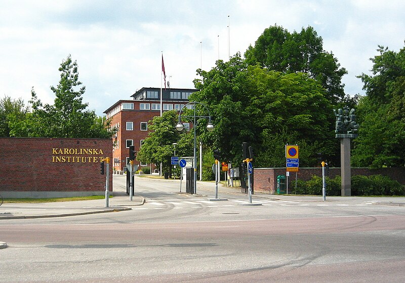 Fil:Karolinska Instituet infart från Solnavägen 20060723.jpg