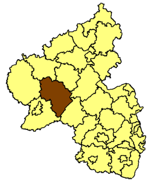 Landkreis Bernkastel-Wittlich läge i Rheinland-Pfalz