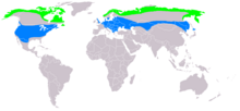 UtbredningskartaGrönt: häckningsområdeBlått: övervintringsområde
