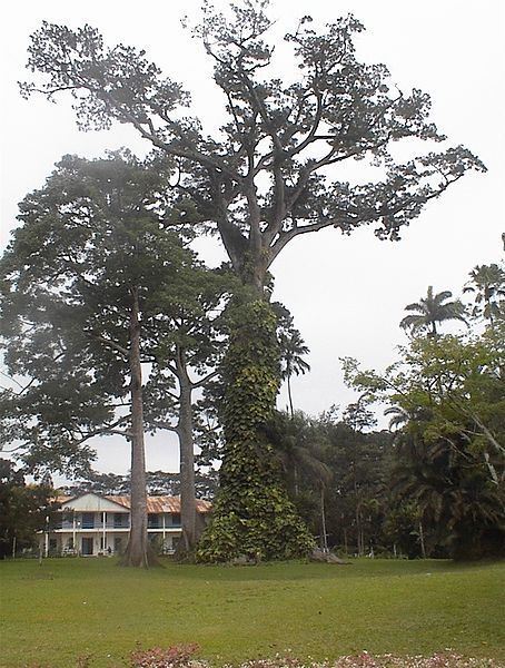 Fil:Aburi botanical gardens.jpg