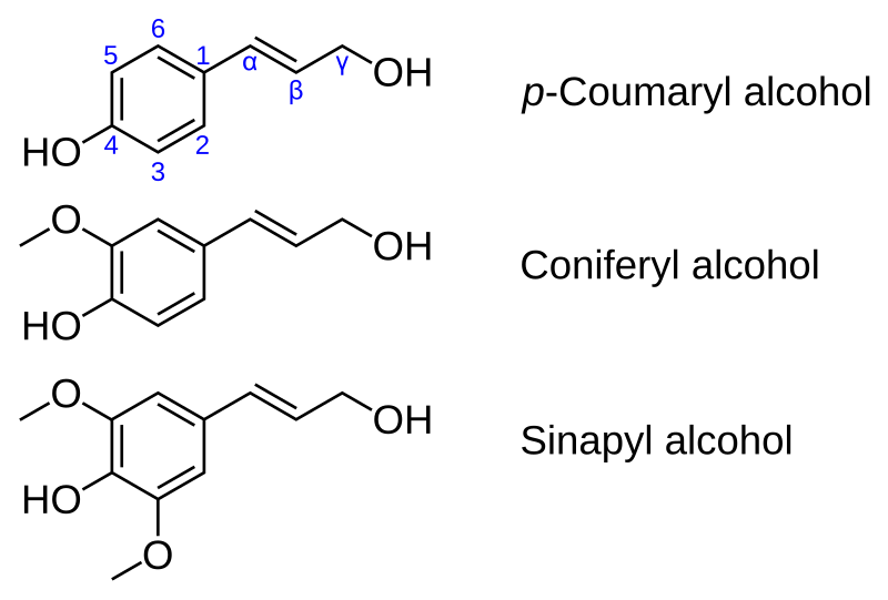 Fil:Monolignols.svg