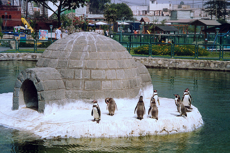 Fil:Huachipa Pinguins.jpg