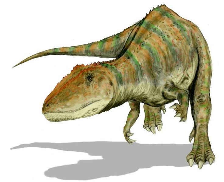 Fil:Carcharodontosaurus BW.jpg