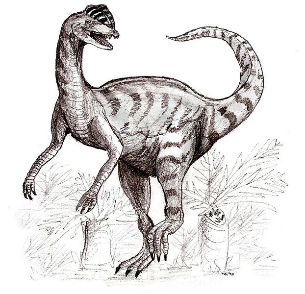 Fil:Sketch dilophosaurus.jpg