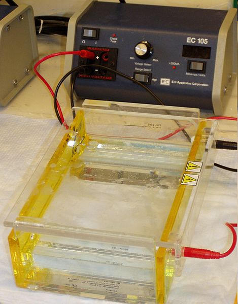 Fil:Gel electrophoresis apparatus.JPG