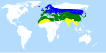 Utbredningsområde: blå = sommar, grön = hela året, gul = vinter