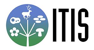 ITIS logotyp