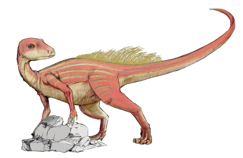 Fil:Abrictosaurus dinosaur.png