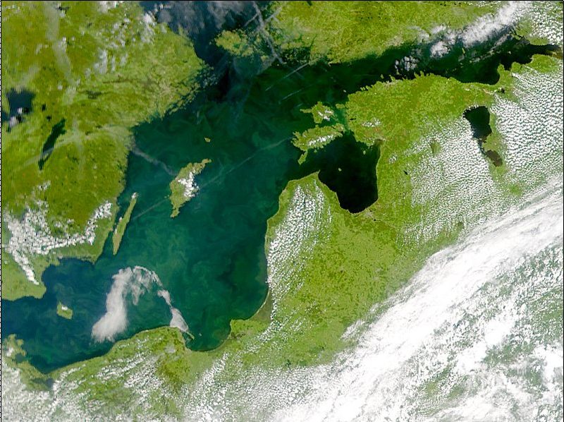 Fil:Phytoplankton bloom in the Baltic Sea (July 3, 2001).jpg